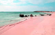 pantai-pink-lombok-timur