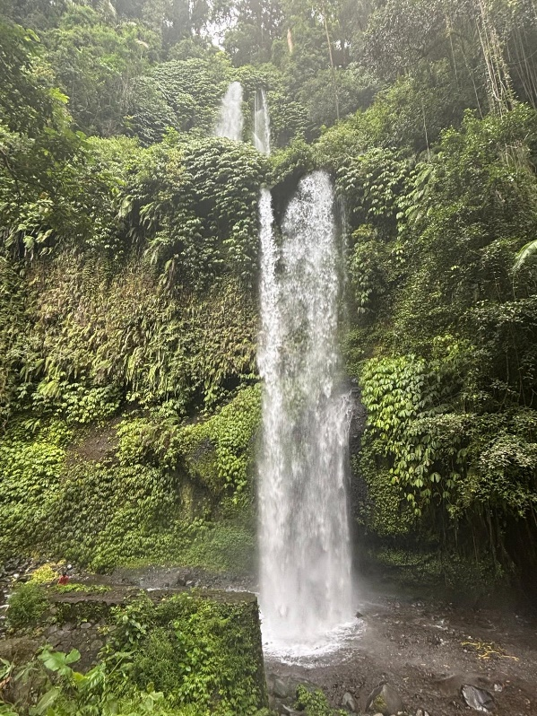 One Day Lombok Tour Sendang Gile Waterfall