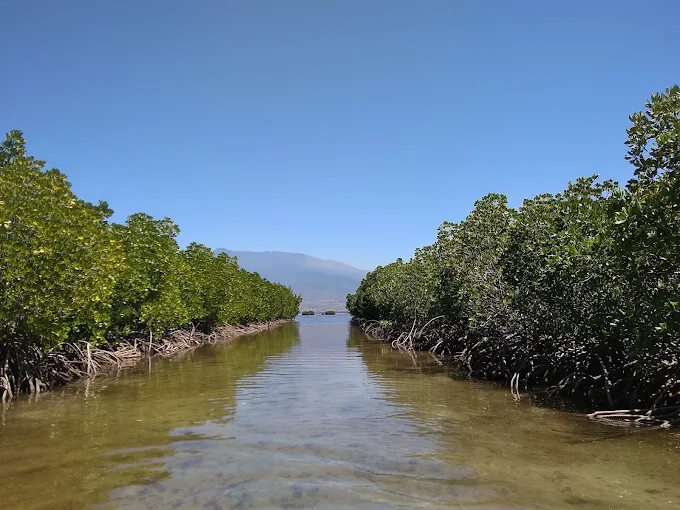 One Day Lombok Tour Snorkelling 4 East Gilis